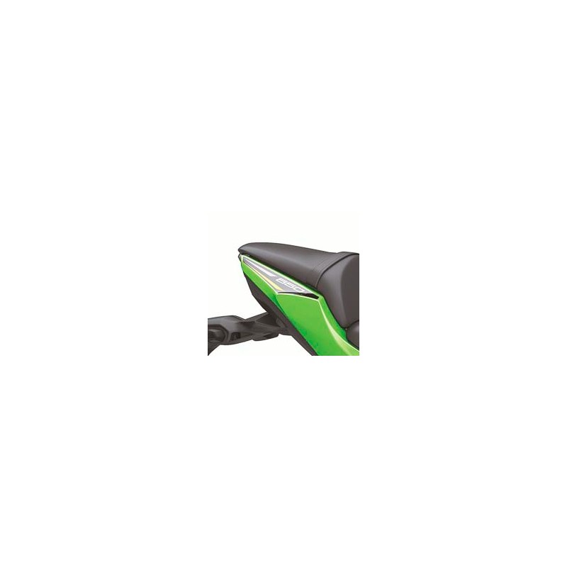 Protection Carénage Latéral Pour Kawasaki Ninja650 / Z650 2017-2024 – Matière ABS, Aspect Fibre Carbone Ou Couleur – Kit De Montage Inclus