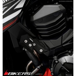 Fairing Guards Set Bikers Kawasaki Z800