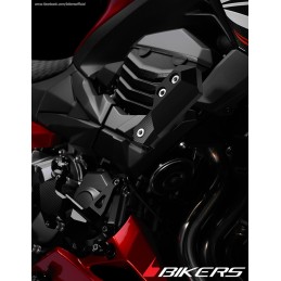 Fairing Guards Set Bikers Kawasaki Z800