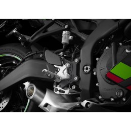Adjustable Driver Step Set Bikers Kawasaki NINJA ZX-25R