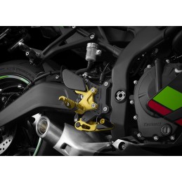 Adjustable Driver Step Set Bikers Kawasaki NINJA ZX-25R