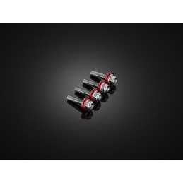 Kit Vis Bulle Saute Vent Bikers Kawasaki