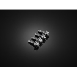 Kit Vis Bulle Saute Vent Bikers Kawasaki