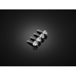 Kit Vis Bulle Saute Vent Bikers Kawasaki