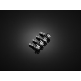 Stainless Bolts Set for Windshield Bikers Kawasaki