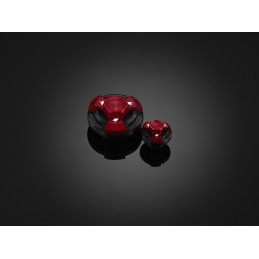 Engine Plugs Bikers Honda NC750X DCT 2014/15