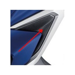 Intérieur Flanc Gauche Honda Forza 125 2021
