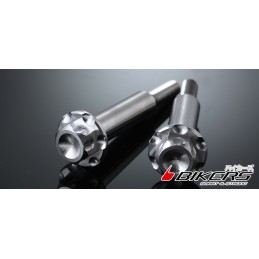 Stainless bolt for brake & clutch lever Bikers Kawasaki Z300 / Z250