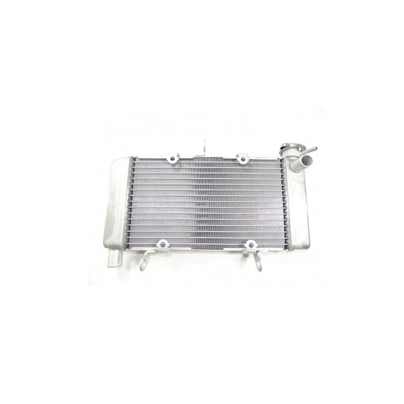 Radiator Honda CBR500R 2019 2020 2021 19010-MKP-T01