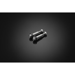 Stainless Bolt for Levers Bikers Honda