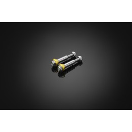 Stainless Bolt for Levers Bikers Honda