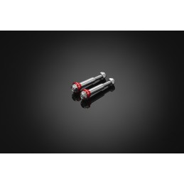 Stainless Bolt for Levers Bikers Honda