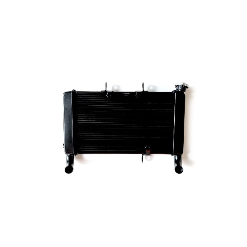 Radiator Honda CBR650R