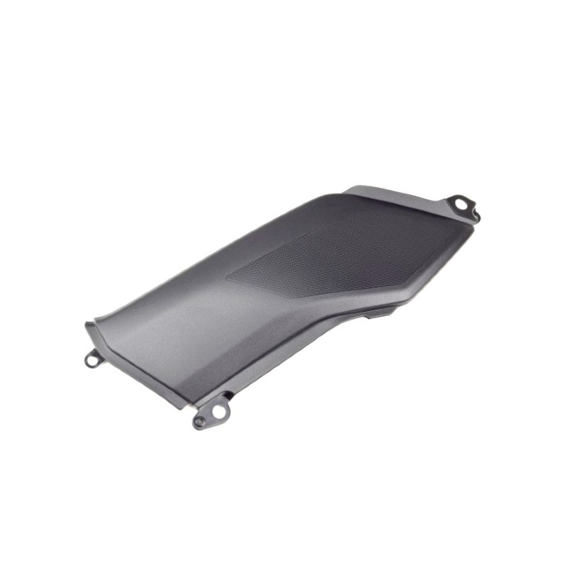 Couvre Genou Droit Kawasaki Z900