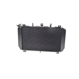 Radiator Kawasaki Z900 2017 2018 2019