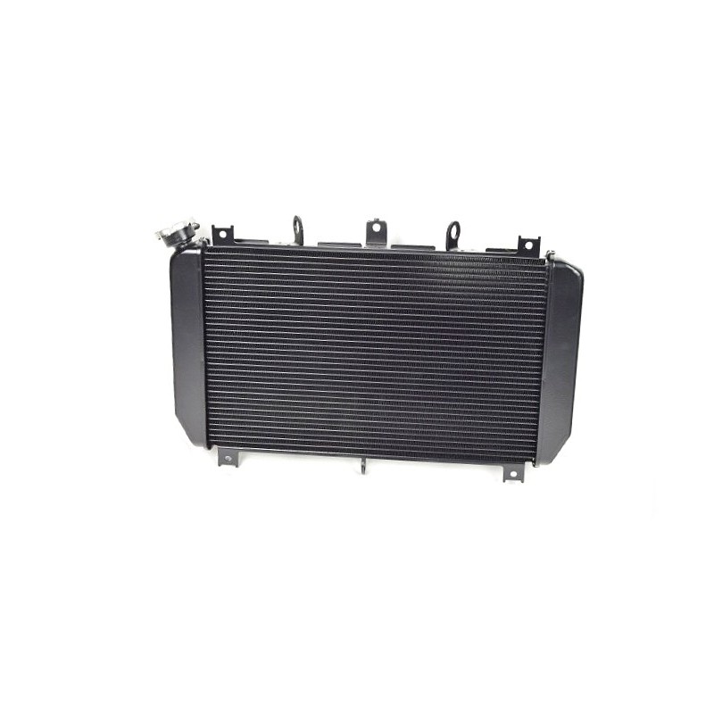 Radiator Kawasaki Z900 2017 2018 2019