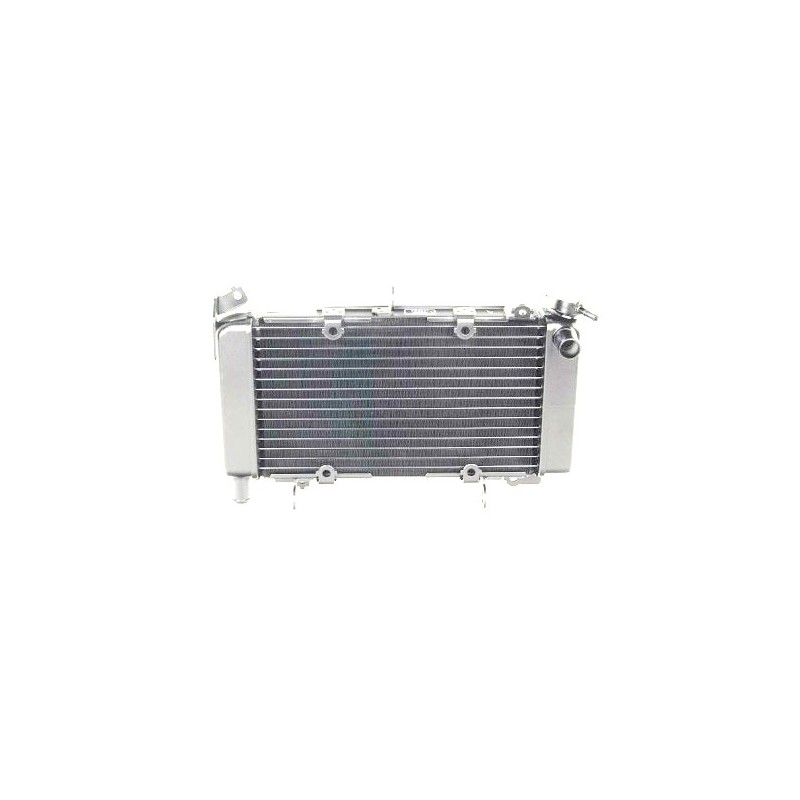 Radiator Honda CBR 500R 2016 2017 2018 19010-MJW-T11