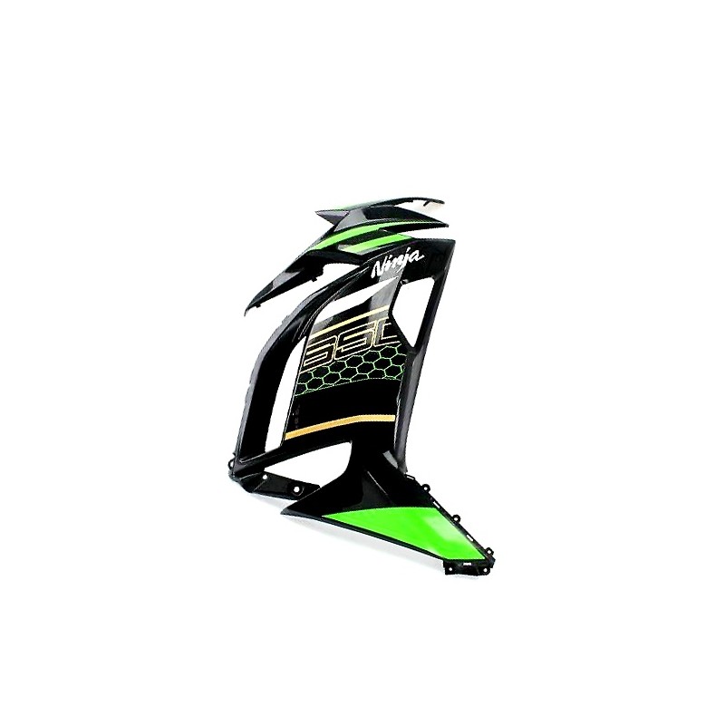 Cowling Right Kawasaki NINJA 650 2020 2021 2022 2023 55060-5131-H8