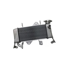 Radiateur Yamaha MT-15