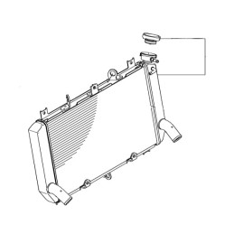 Radiator Kawasaki Z900 2017 2018 2019