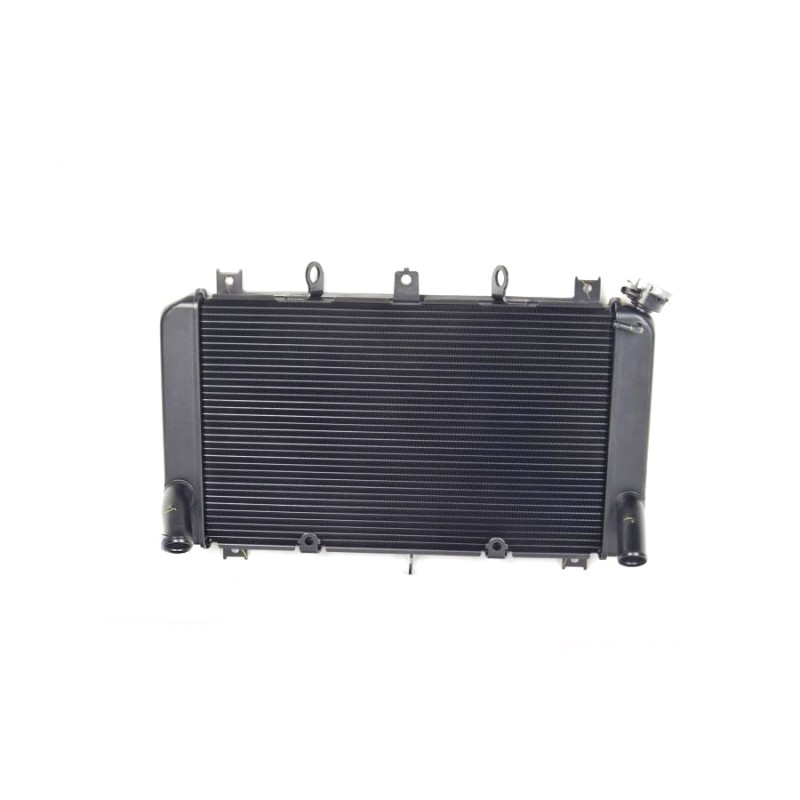 Radiator Kawasaki Z900 39061 0813