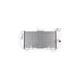 Radiator Yamaha YZF R3 / R25