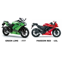 Colors Kawasaki Ninja 250R