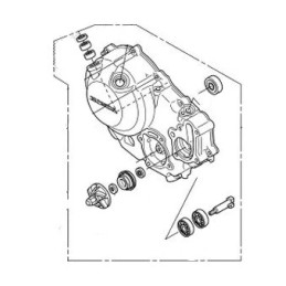 Couvre Carter Droit Honda CRF300