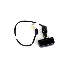 License Light Honda MSX...