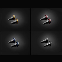 Stainless Bolts Levers...
