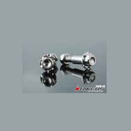 Vis Stainless Leviers...