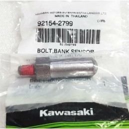 Vis Embout Repose Pied Avant Kawasaki Z400