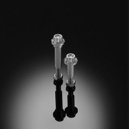 Vis Stainless Leviers...