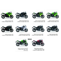 Carénage Flanc arrière Gauche Kawasaki ER6f Ninja 650