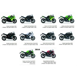 Aération Flanc Gauche Kawasaki ER6f Ninja 650