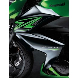 Carénage Flanc Avant Gauche Kawasaki Z300