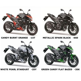 Sticker Motif Flanc Avant Gauche Kawasaki Z800
