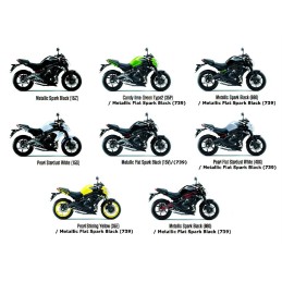 Autocollant Ecope Flanc Avant Logo Kawasaki ER6n 650
