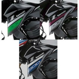 Set Marks Left Shroud Kawasaki Z800 2016