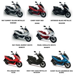 Pocket Door Honda PCX 125/150 v3 2014-2015