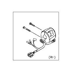 Housing Control Right Kawasaki Z800