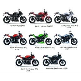 Front Fender Kawasaki Z250 35004-0318