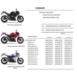Garde Boue Avant Kawasaki Z250