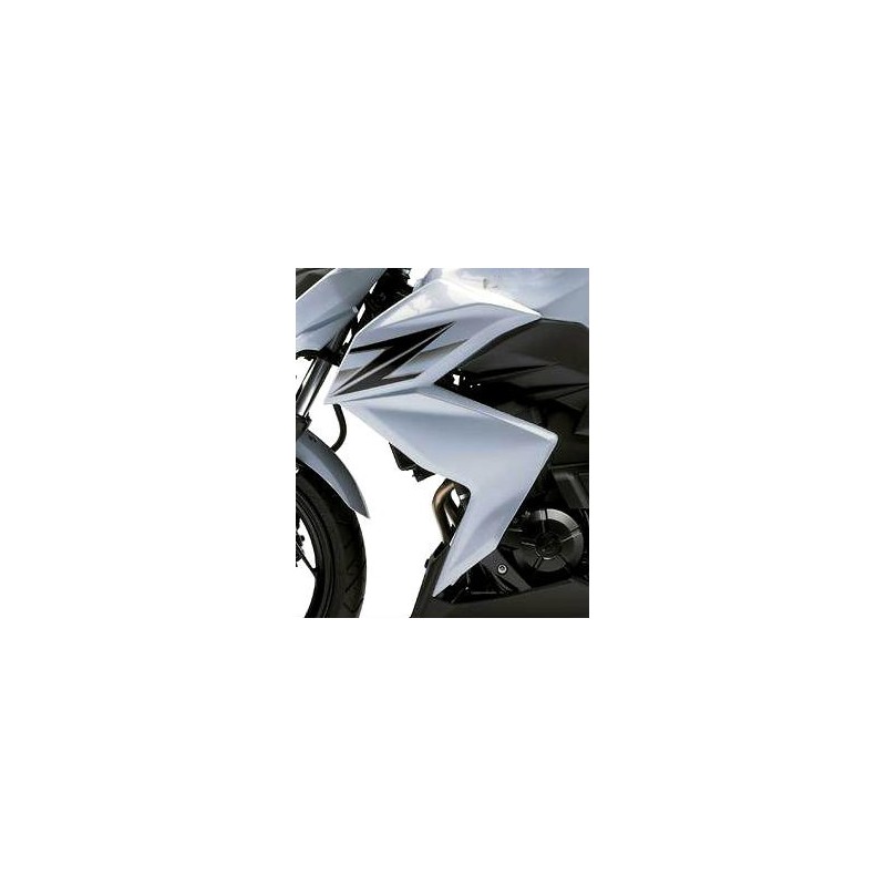 Carénage Flanc Avant Gauche Kawasaki Z250