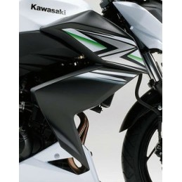 Carénage Flanc Avant Droit Kawasaki Z250