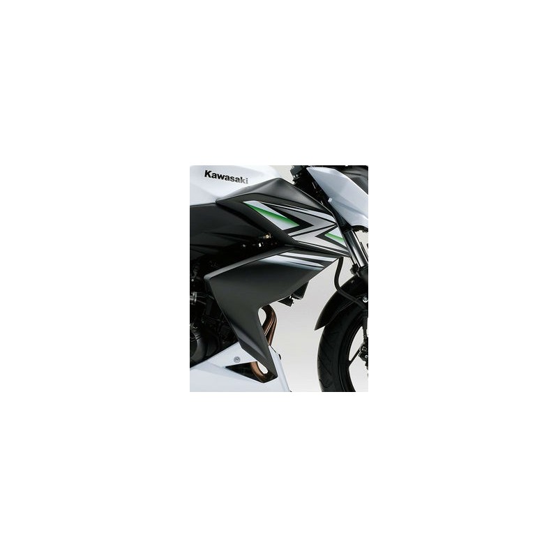 Shroud Right Kawasaki Z250 49125-0569