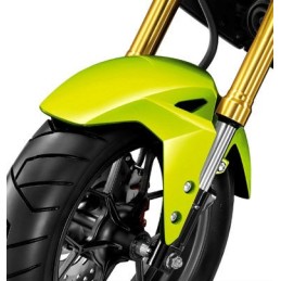 Front Fender Honda Msx 125SF