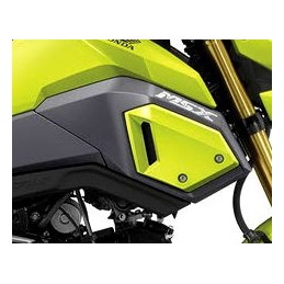Front Cover Right Honda Msx 125SF
