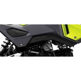 Cover Lower Right Honda Msx 125SF