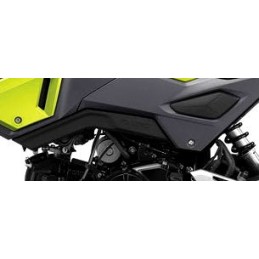 Cover Lower Left Honda Msx 125SF